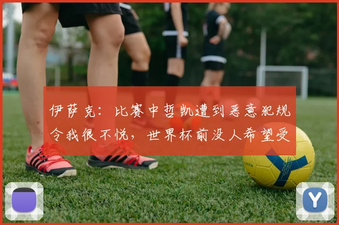 伊萨克:比赛中哲凯遭到恶意犯规令我很不悦,世界杯前没人希望受伤